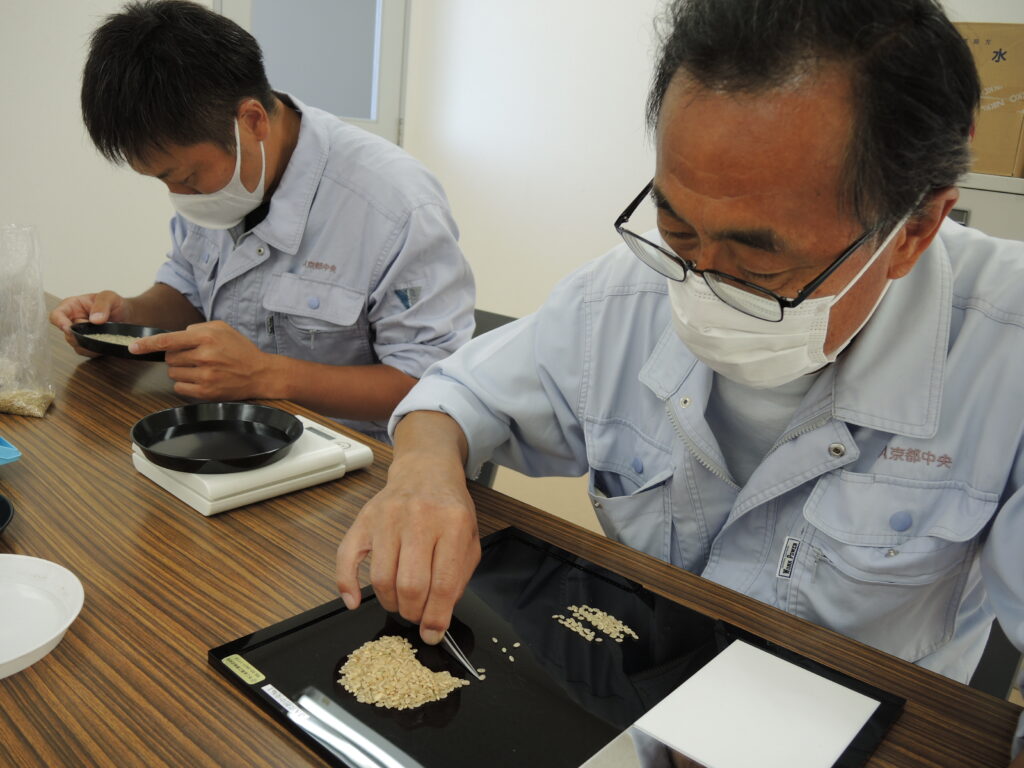 業務用米の栽培試験結果分析
